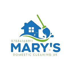 mary domestic cleaning